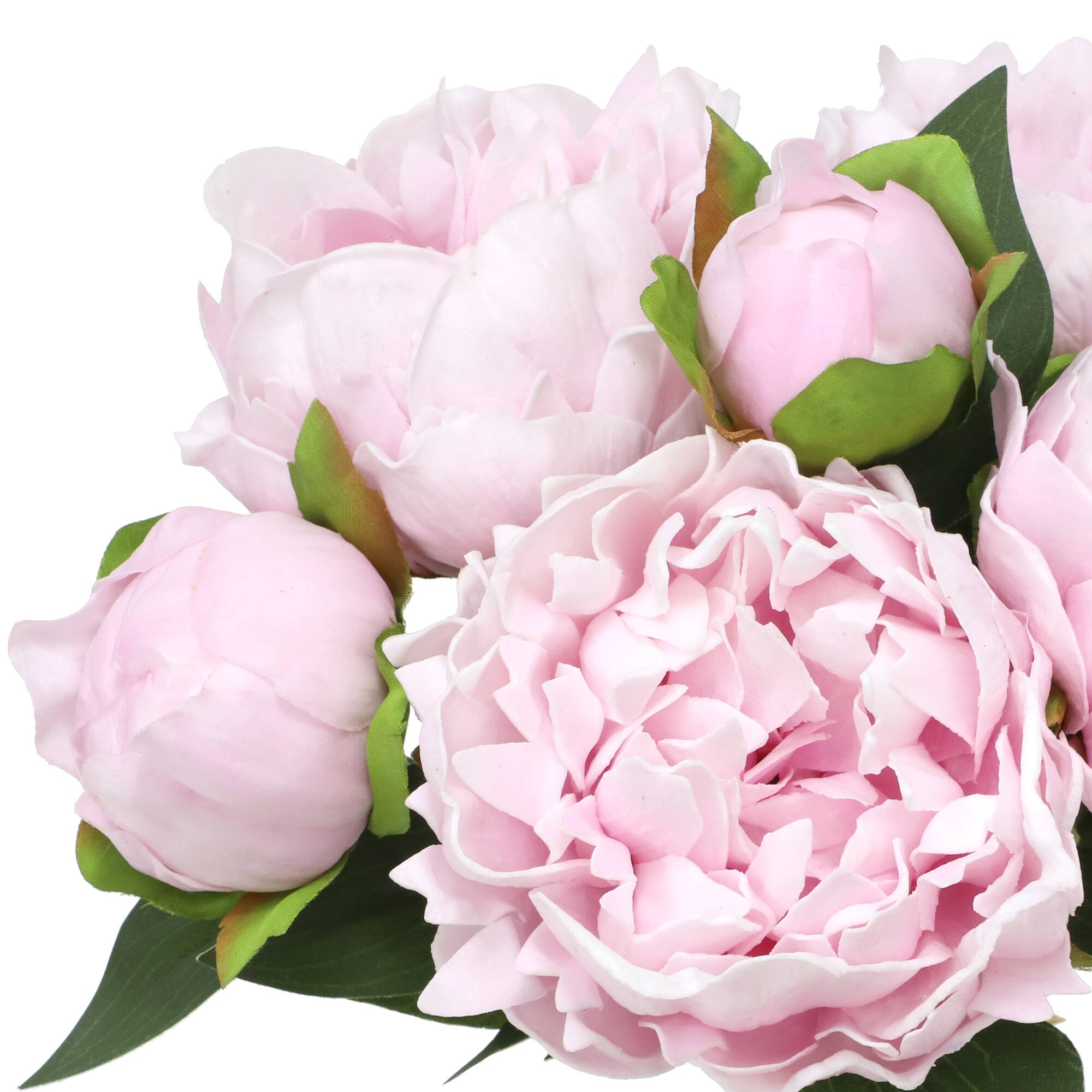 12" Pink Peony Bush by Ashland®